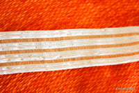 Thumbnail for Bronze And White Thread Sheer Stripes Trim Lace, Approx. 38mm wide