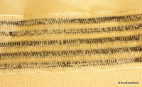 Thumbnail for Silver And White Thread Sheer Stripes Trim Lace, Approx. 37mm wide